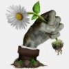 植物大战僵尸现实画风版中文版下载